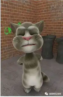 曾经火爆的游戏,你玩过几款  曾经火爆的游戏,你玩过几款