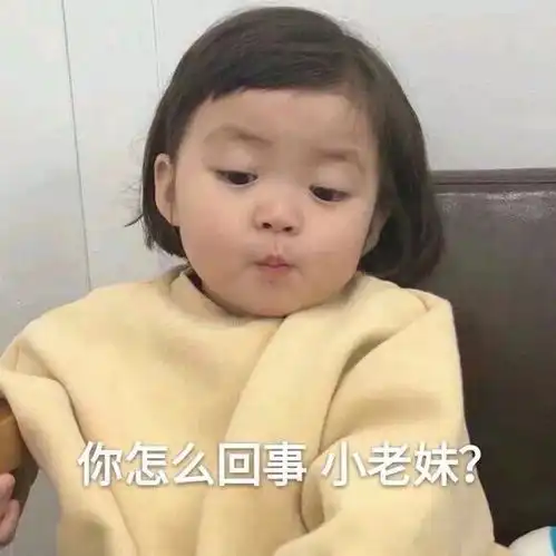  晋江整改逼得我用文言文写耽美了