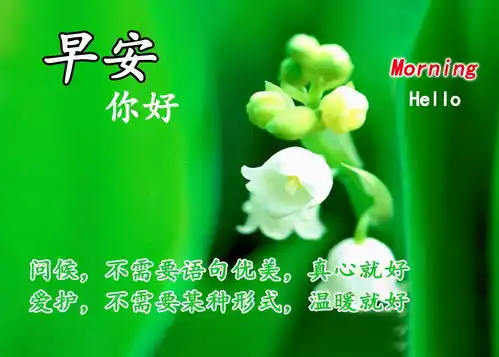  早上好问候语动态表情图片新的一天愉快的心情陪伴着你