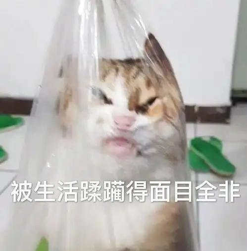 可爱表情包图片好搞笑大全 可爱表情包图片好搞笑大全