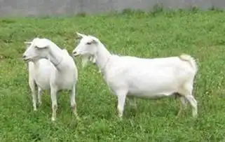 郧西五种模式打赢集体经济翻身仗 郧西五种模式打赢集体经济翻身仗