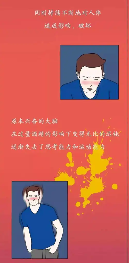  酒精进入体内的24小时,告诉你为什么劝你戒酒