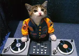 喵星人你这套装备多少钱,哪里配的,简直酷爆了  喵星人你这套装备多少钱,哪里配的,简直酷爆了