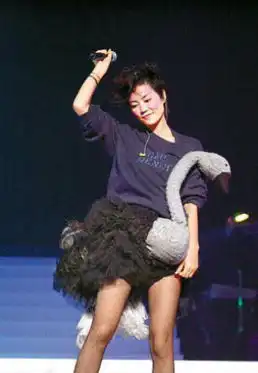  王菲离婚后爆性感旧照