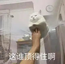  顶不住顶得住系列表情包