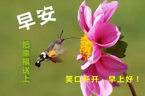 2022最新早上好问候语及关心的话冬天清晨早安祝福表情图片短信大全  2022最新早上好问候语及关心的话冬天清晨早安祝福表情图片短信大全