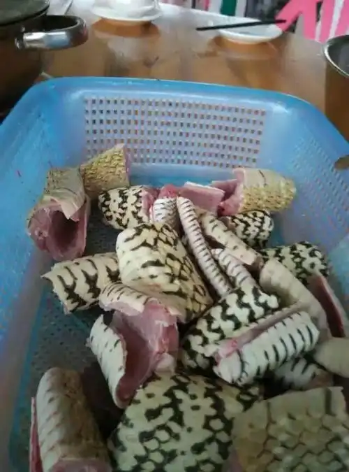  这两种农村野味特别好吃,但是外貌恐怖,很多人都不敢吃