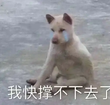  表情包真的暴怒了