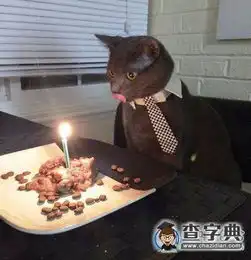  这就是本总裁的生日餐搞笑图片