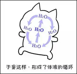  为什么减肥要排寒祛湿用漫画告诉你