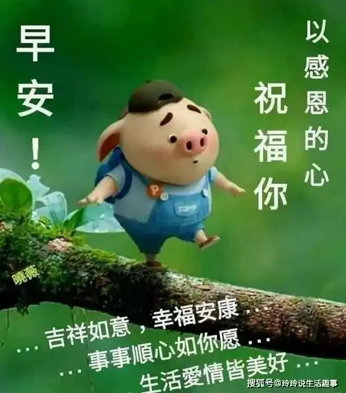  慰问新朋友的早安问候文字带图片早晨好漂亮的祝福美图表情送给你