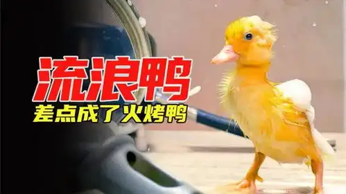 烤鸭图片搞笑搞笑图片