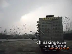 首站45公里鹤壁训放图片  首站45公里鹤壁训放图片