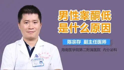  男性睾酮正常值