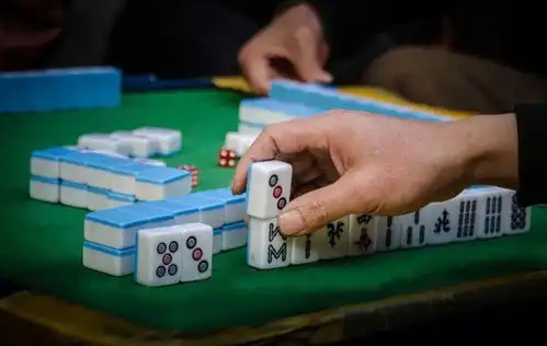  南京老太打麻将上瘾,一早坐车去扬州打麻将,不料祸害整个扬州城
