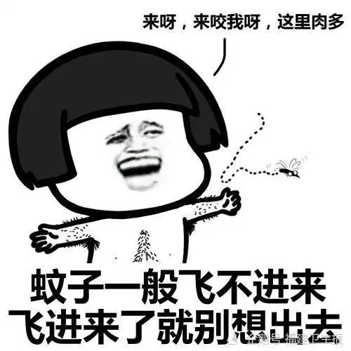  颤抖吧这7类人,最招蚊子