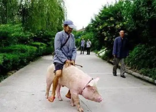  为什么我不买兰博基尼,这就是原因,哈哈哈,没毛病