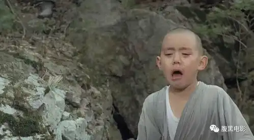  人生如四季,春夏秋冬又一春