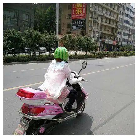  搞笑图片大象说实话,我感觉你像一个智障