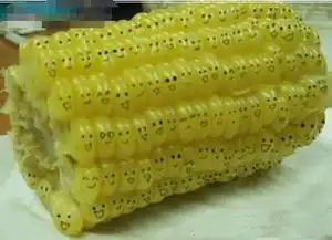  搞笑gif大脸秒变网红脸