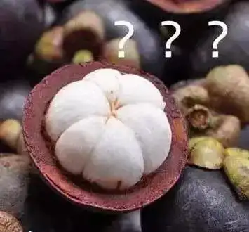  当山竹遇上大鸡腿,停课停考停训
