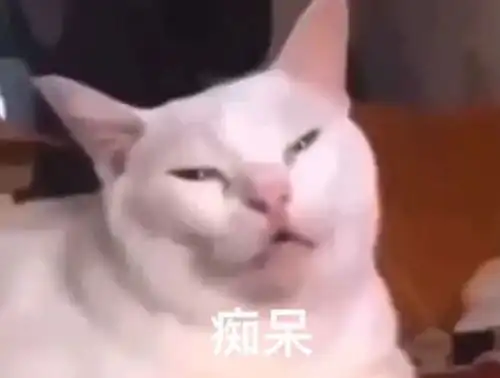 不想上班啊丨第421期喵表情包
