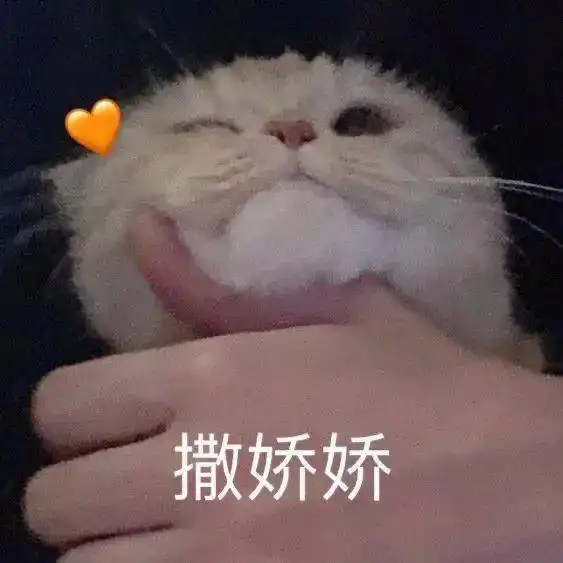  聊天斗图表情包哇哦