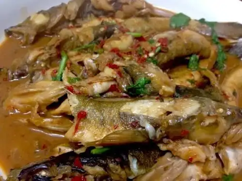  酱焖海鲶鱼