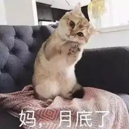 朋友圈配图刚过完双十一的我,穷人,打钱  朋友圈配图刚过完双十一的我,穷人,打钱