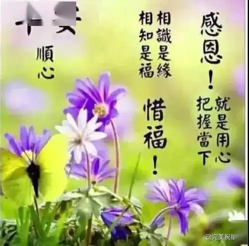  人在落魄时才能看清,谁泼的是盆盆冷水,谁捧的是颗颗担心,早安