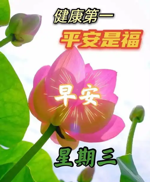 秋季祝福家人的早上好的图片带字祝福语2021发群里的朋友早上好图片真心问候语  秋季祝福家人的早上好的图片带字祝福语2021发群里的朋友早上好图片真心问候语