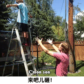  搞笑gif狗子听话,染个毛之后你的身价就上去了