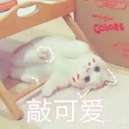 求推荐5天旅游,4人行人均1500,坐标怀化新晃想去两个地方包括海边,求路线推荐  求推荐5天旅游,4人行人均1500,坐标怀化新晃想去两个地方包括海边,求路线推荐