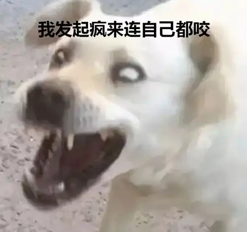  搞笑图片表情包可收藏使用手动狗头