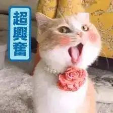 博纳影城,疫路同行复工准备,我们时刻在行动  博纳影城,疫路同行复工准备,我们时刻在行动