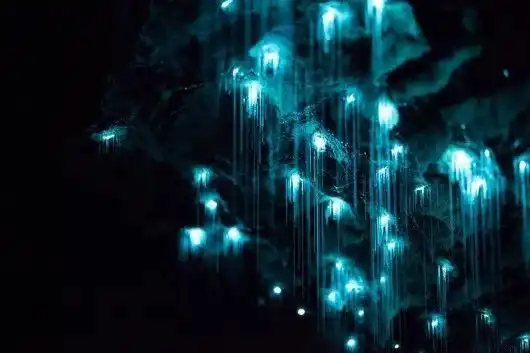  夏夜精灵舞在星空下,予大家说好梦,晚安