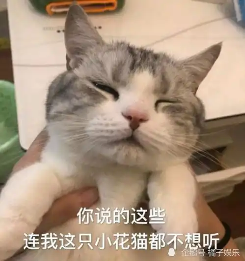  赵丽颖离婚,苦的不只有冯绍峰