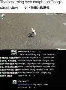  搞笑图片你别着急呀,等会肯定有你吃的