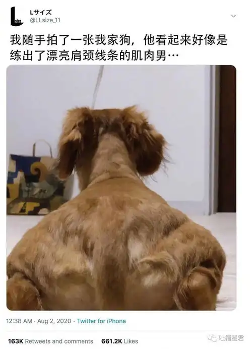  潘玮柏的人造网红老婆照片流出后...沙雕网友这婚结的太难了