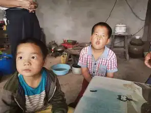  特殊的儿童节礼物,等你来认领