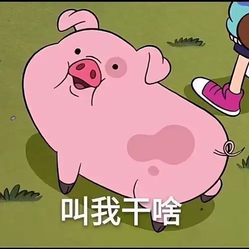  有哪些猪的搞笑图片或者表情包