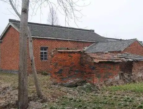 80岁老汉救了狐狸母子,5年后,狐狸竟带着孩子闯进老人的家里  80岁老汉救了狐狸母子,5年后,狐狸竟带着孩子闯进老人的家里