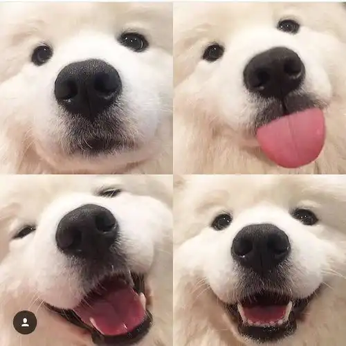  我的收藏夹