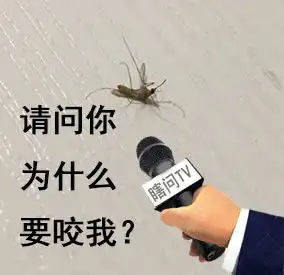 七彩蚊子表情包