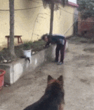 搞笑动态图片大全gif猫