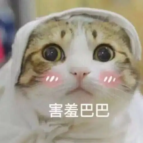 谢谢图片大全表情搞笑委