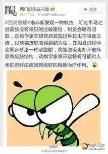 深井冰妹子的膝盖有点丧心病狂  深井冰妹子的膝盖有点丧心病狂