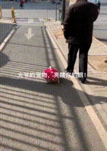  搞笑gif趣图姑娘你想做什么,这里可是五楼哦