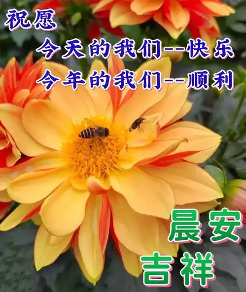  2月24日周五早安问候图片带字,清晨忙把问候送,平安健康伴你行
