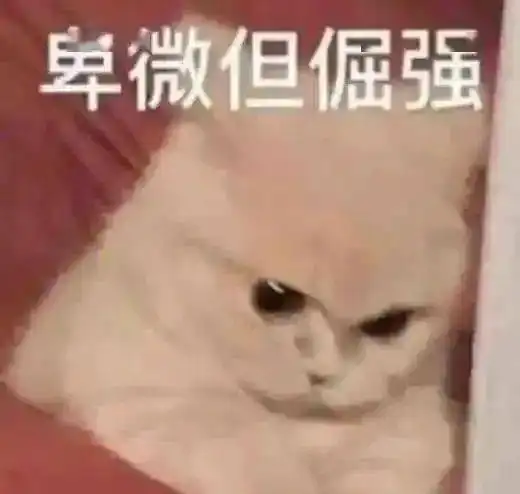  哈哈哈哈哈哈过年千万不要在家族群里乱发表情包